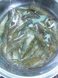 养生食谱大放送