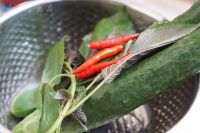 养生食谱大放送