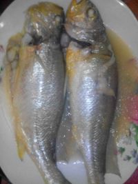 养生食谱大放送