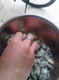 养生食谱大放送