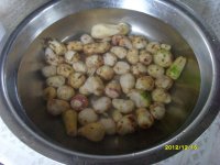 养生食谱大放送