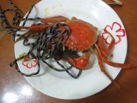 养生食谱大放送