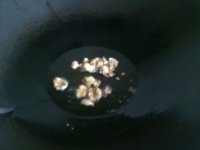 养生食谱大放送