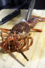 养生食谱大放送