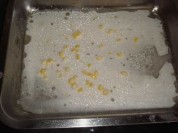 养生食谱大放送