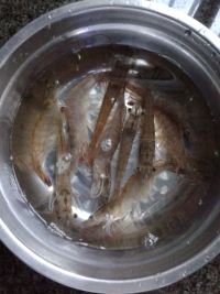 养生食谱大放送