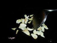 养生食谱大放送