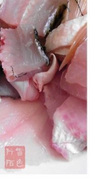 养生食谱大放送