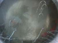 养生食谱大放送