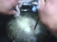 养生食谱大放送