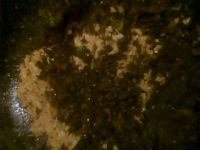 养生食谱大放送