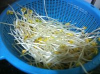 养生食谱大放送