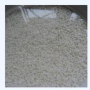 养生食谱大放送