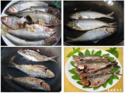 养生食谱大放送