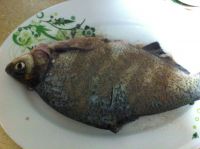 养生食谱大放送