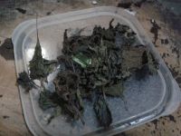 养生食谱大放送