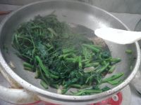 养生食谱大放送