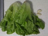 养生食谱大放送