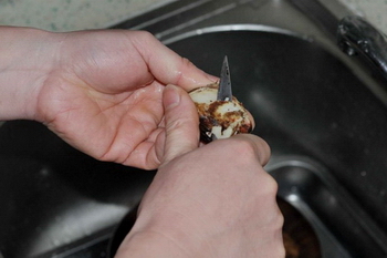 鸡汤虎皮芋儿<a href=/shicai/shucai/BaiCai/index.html target=_blank><u>白菜</u></a>步骤4