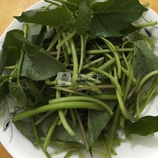 小炒<a href=/shicai/shucai/HongShu/index.html target=_blank><u>红薯</u></a>藤