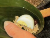 养生食谱大放送