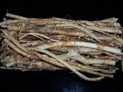 养生食谱大放送