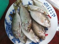 养生食谱大放送