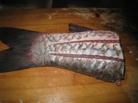 养生食谱大放送