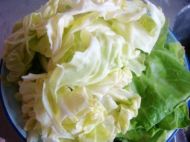 养生食谱大放送