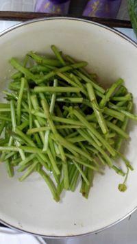 养生食谱大放送