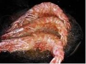 养生食谱大放送