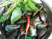 养生食谱大放送