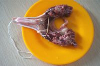 养生食谱大放送