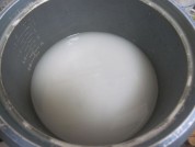 养生食谱大放送