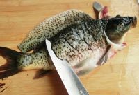 养生食谱大放送