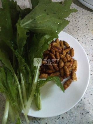 金丝蛹炒<a href=/shicai/shucai/XiaoBaiCai/index.html target=_blank><u>小<a href=/shicai/shucai/BaiCai/index.html target=_blank><u>白菜</u></a></u></a>