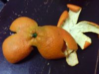 养生食谱大放送