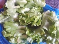 养生食谱大放送