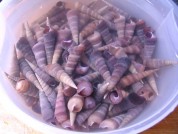 养生食谱大放送