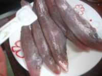 养生食谱大放送