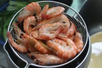 养生食谱大放送