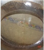 养生食谱大放送