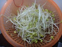 养生食谱大放送