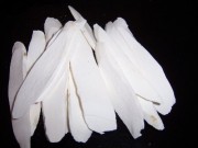 养生食谱大放送