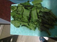 养生食谱大放送