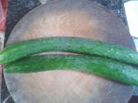 养生食谱大放送