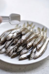 养生食谱大放送