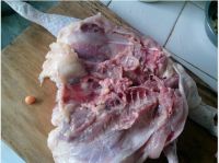 养生食谱大放送