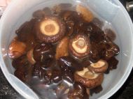 养生食谱大放送