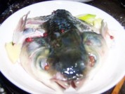 养生食谱大放送